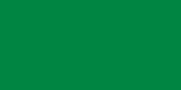 Flag_of_Libya_(1977–2011).svg